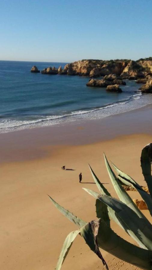 Apartamentos Praia Da Rocha Alex&Mila Vista Mar Portimão Zewnętrze zdjęcie